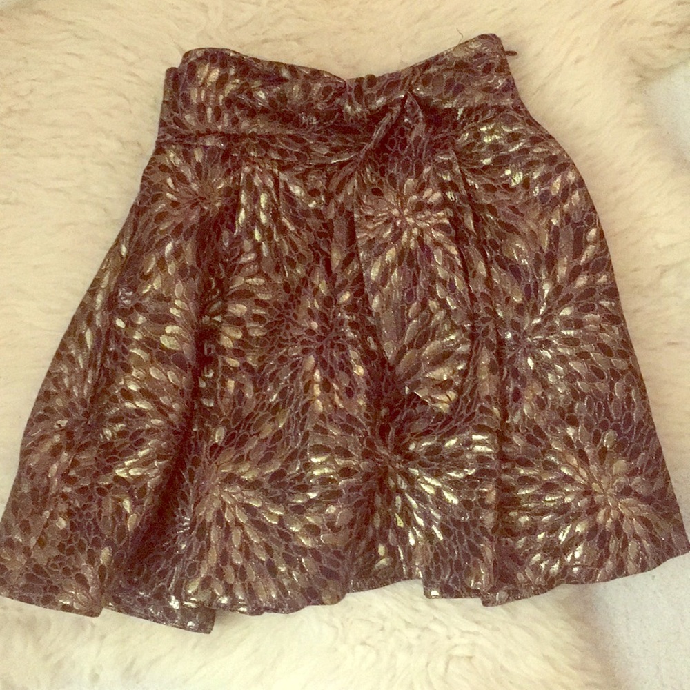 Zara Gold, Rose Gold and Black Skirt
